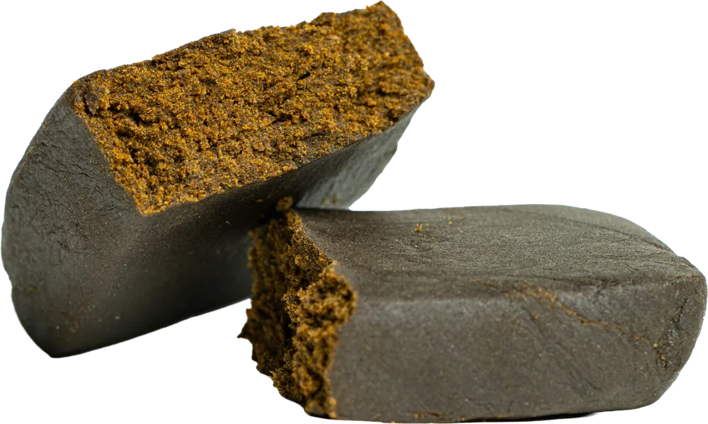 Hash Iceolator: panetti compatti con superficie grigio-bruna e cuore dorato-ambrato